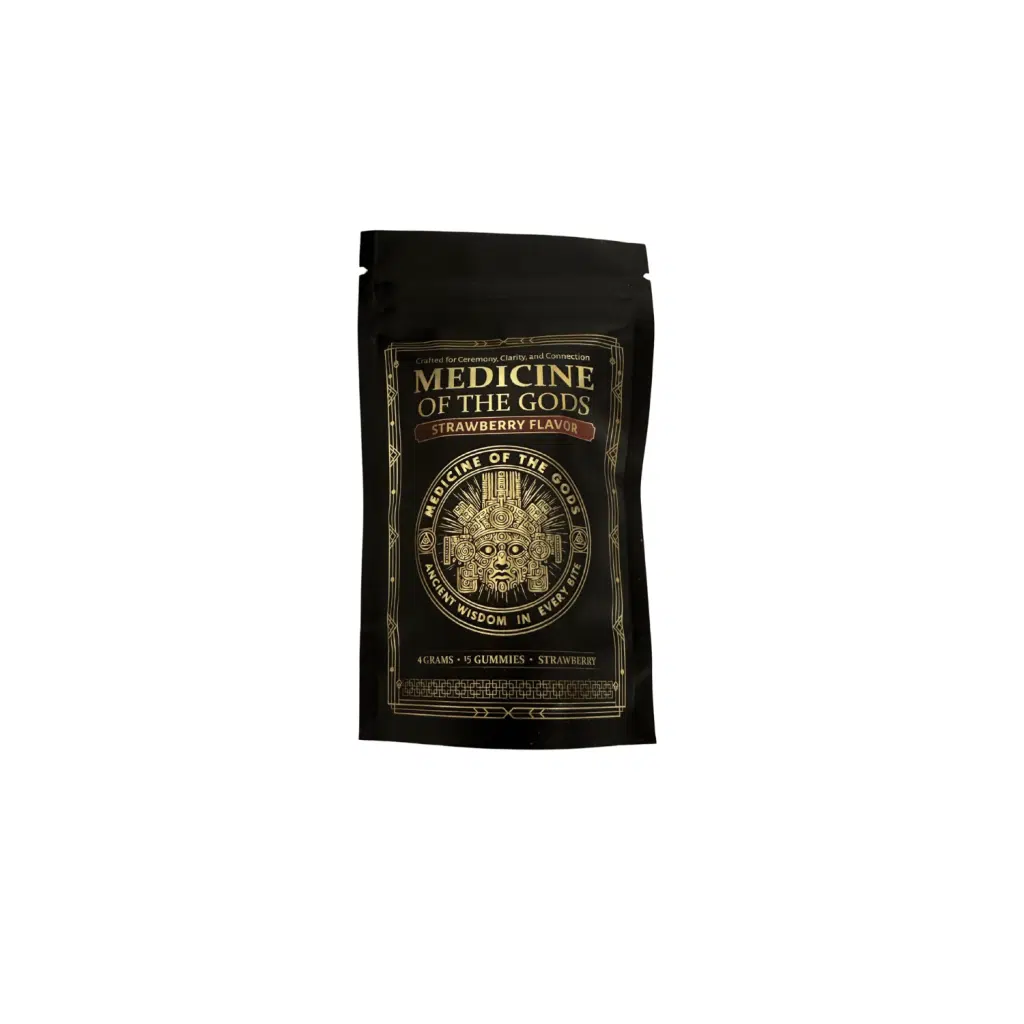 Strawberry Mushroom Gummies 4g