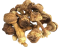 Agaricus Blazei