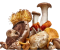 Functional mushrooms benefits for overall wellness