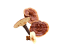 Beta-Glucans guide at Denver Mushroom Store